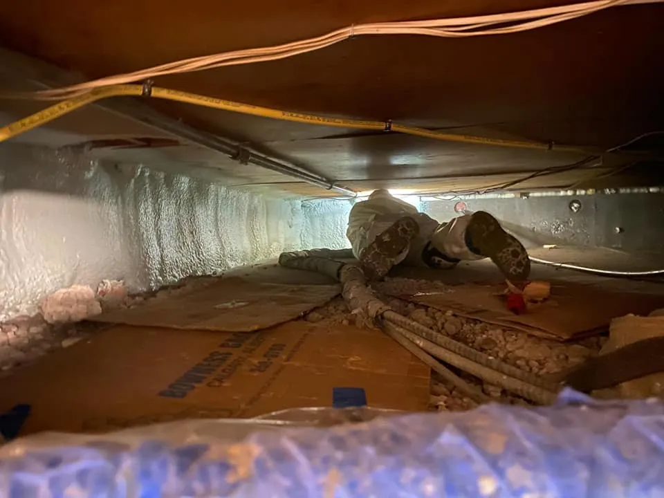 Spray foam insulation applied in crawl space